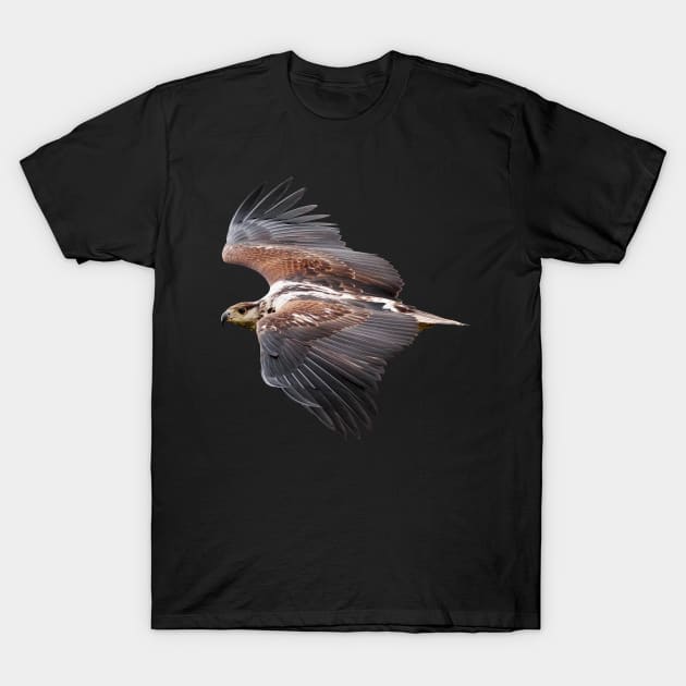 Falcon Present Bird Lovers T-Shirt Nature Tropical T-Shirt by gdimido